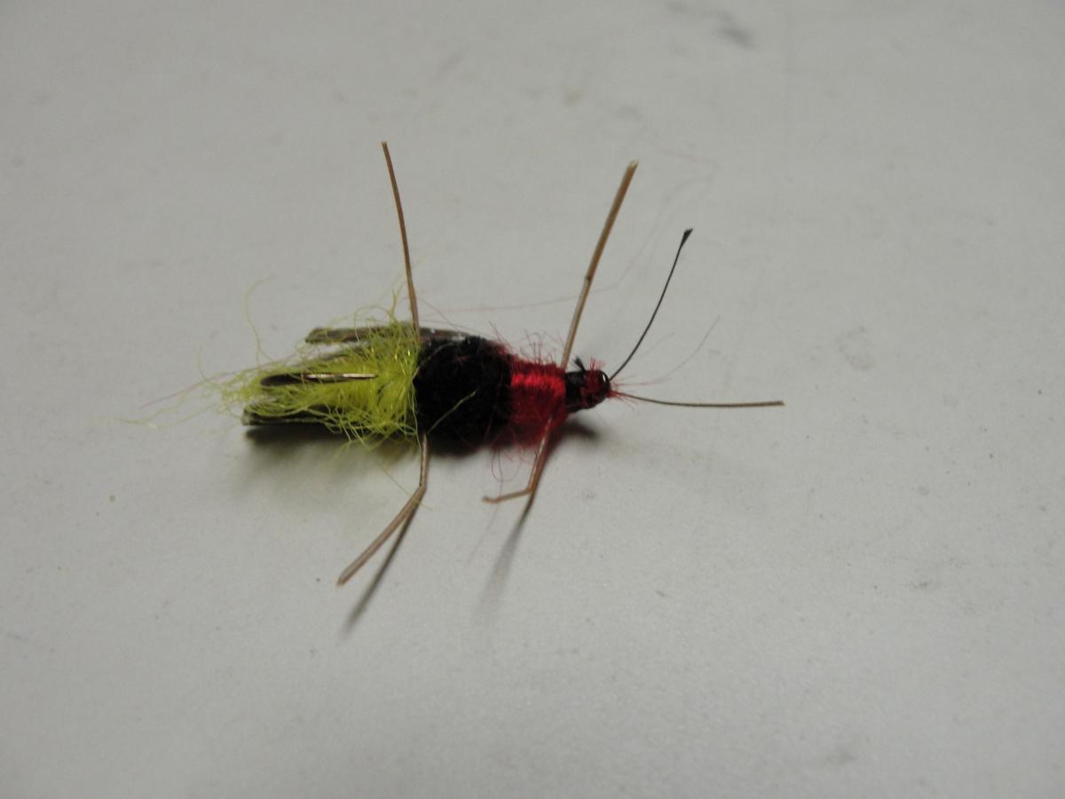 Troutu_Firefly_Lightning_Bug_Trout_Fishing_Fly